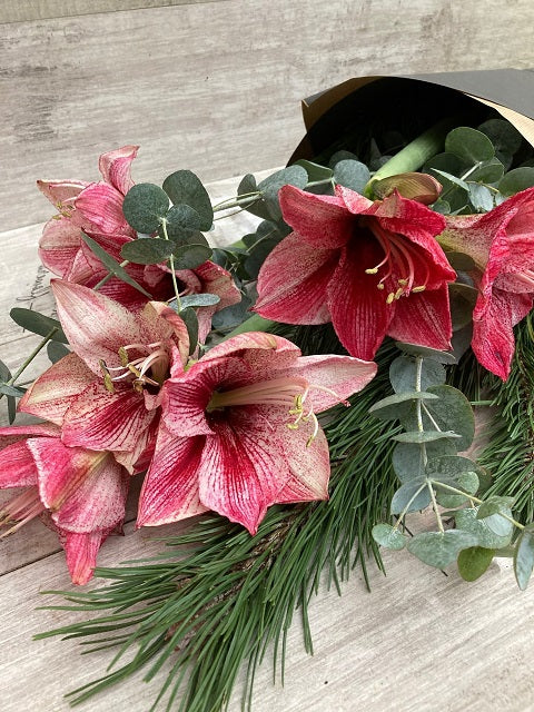 Amaryllis Bouquet