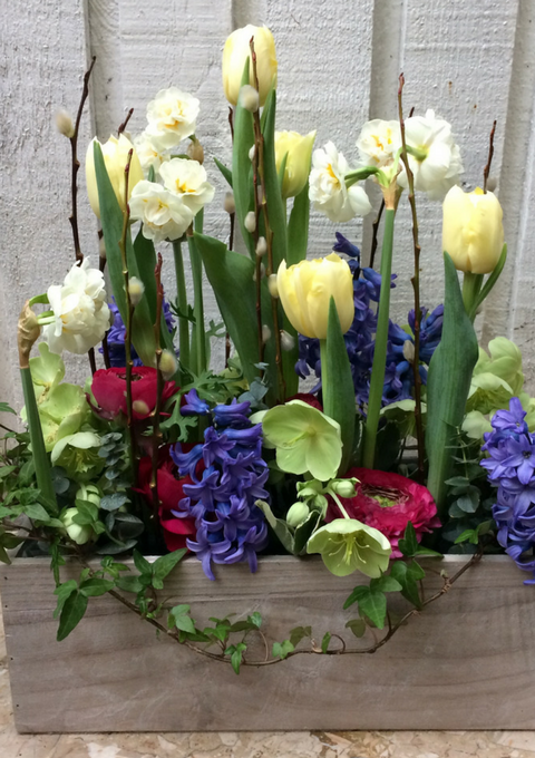 Colourful Spring Garden Arrangement