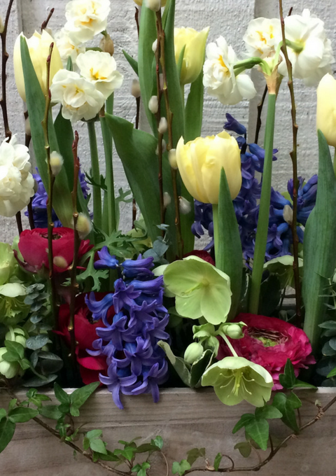 Colourful Spring Garden Arrangement