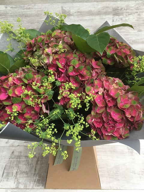 Heavenly Hydrangeas Bouquet