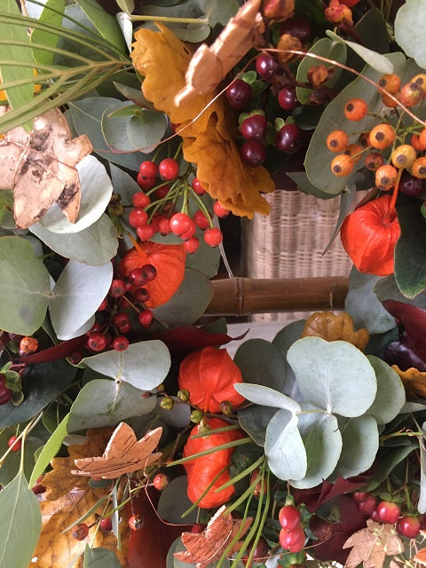 Welcome to Autumn