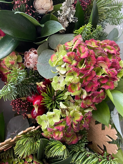 Hydrangeas and Velvet