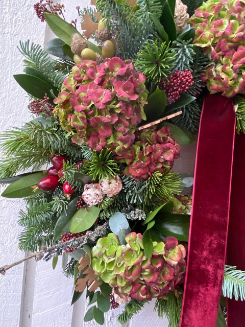 Hydrangeas and Velvet
