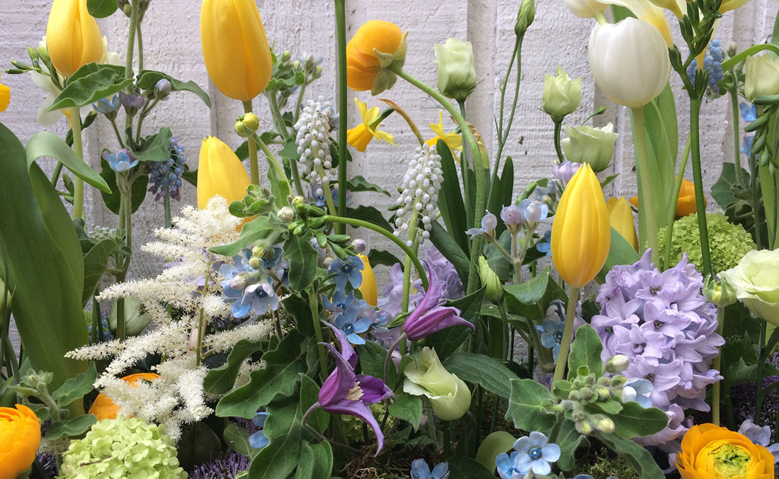 Skipton Florist in Yorkshire Flower Delivery Erica Berry Flowers